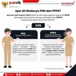 38.524 PNS & PPPK Diusulkan Jadi ASN Pusat, Namun P3K PW Terganjal UU HKPD: Simak Penjelasannya