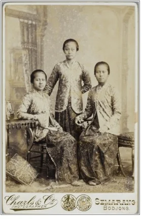 7 Saudara Kartini yang Tak Kalah Berjasa bagi Indonesia