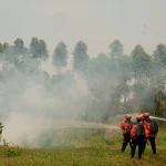 Ancaman El Nino 2026: Ribuan Titik Api Menggeliat di Sumatra, Risiko Kebakaran Meluas!