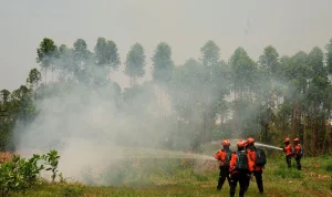 Ancaman El Nino 2026: Ribuan Titik Api Menggeliat di Sumatra, Risiko Kebakaran Meluas!