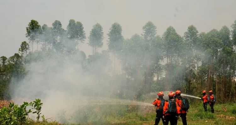 Ancaman El Nino 2026: Ribuan Titik Api Menggeliat di Sumatra, Risiko Kebakaran Meluas!