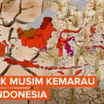 BMKG Peringatkan Musim Kemarau 2026 Lebih Kering & Panjang di Jawa Barat, Bukan yang Terparah 30 Tahun