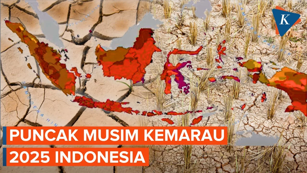 BMKG Peringatkan Musim Kemarau 2026 Lebih Kering & Panjang di Jawa Barat, Bukan yang Terparah 30 Tahun