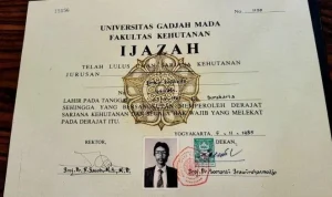 Budi Arie Buka Suara: Jusuf Kalla Terseret Kasus Ijazah Jokowi, Apa Dampaknya bagi Politik Nasional?