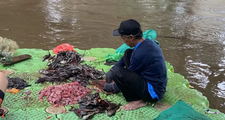 Dosen UNSRI Ungkap Alasan Ikan Sapu-sapu Tak Layak Dikonsumsi: Kontaminasi Logam Berat & Ancaman Kesehatan
