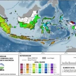 El Niño Godzilla 2026: Ancaman Kemarau Panjang, Risiko Kesehatan, dan Langkah Mitigasi Nasional