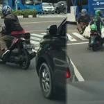 Fenomena Viral: Pengendara di China Berhenti Karena Kucing di Pod Kaca, Sementara Investor China Bergumul di Bali