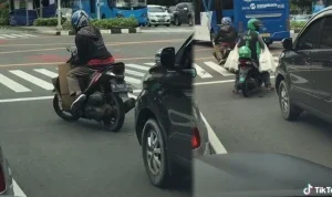 Fenomena Viral: Pengendara di China Berhenti Karena Kucing di Pod Kaca, Sementara Investor China Bergumul di Bali