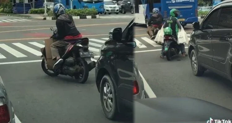 Fenomena Viral: Pengendara di China Berhenti Karena Kucing di Pod Kaca, Sementara Investor China Bergumul di Bali