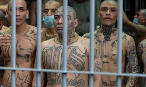 Geng MS-13 di El Salvador Dihadapi Sidang Massal, Sementara AI Diperkenalkan untuk Reformasi Kesehatan Publik