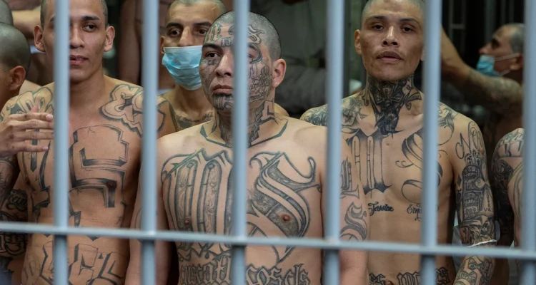 Geng MS-13 di El Salvador Dihadapi Sidang Massal, Sementara AI Diperkenalkan untuk Reformasi Kesehatan Publik