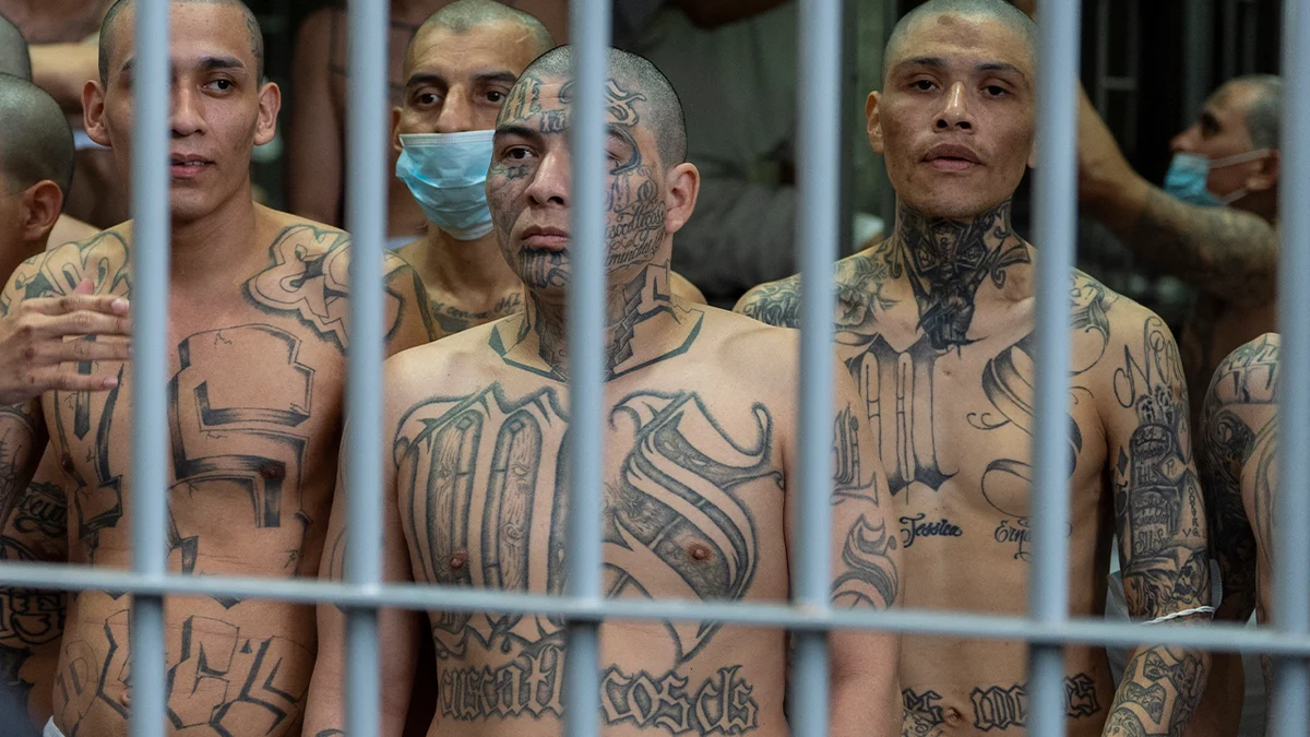 Geng MS-13 di El Salvador Dihadapi Sidang Massal, Sementara AI Diperkenalkan untuk Reformasi Kesehatan Publik