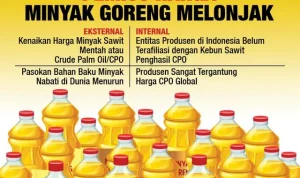 Harga Minyak Goreng Meroket, PASPI Nilai Turun Akibat Lonjakan Harga Plastik