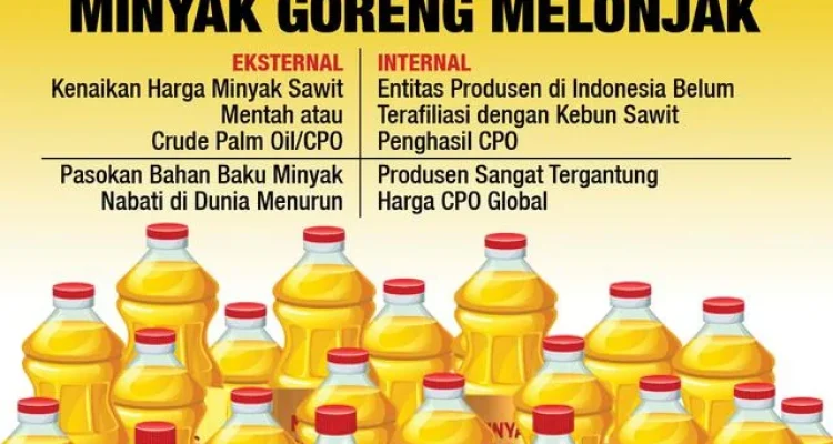 Harga Minyak Goreng Meroket, PASPI Nilai Turun Akibat Lonjakan Harga Plastik