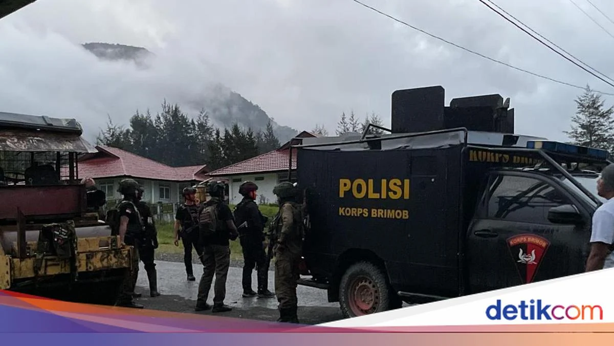 Kontak tembak TNI di Puncak Papua: 12 Warga Sipil Tewas, Pemerintah Duga Upaya Amankan Masyarakat