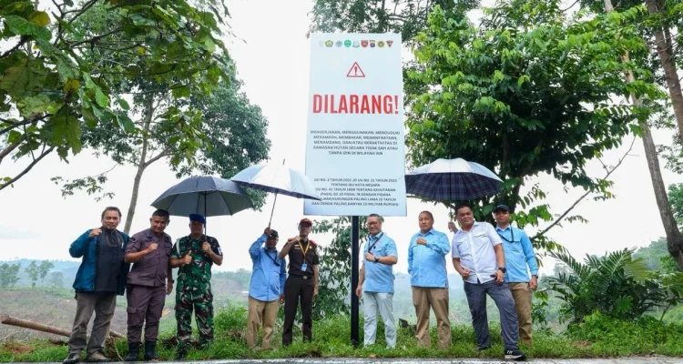 Otorita Ibu Kota Nusantara Gencarkan Aksi Reklamasi Tahura Bukit Soeharto, Tantangan Besar Menuju IKN yang Sempurna