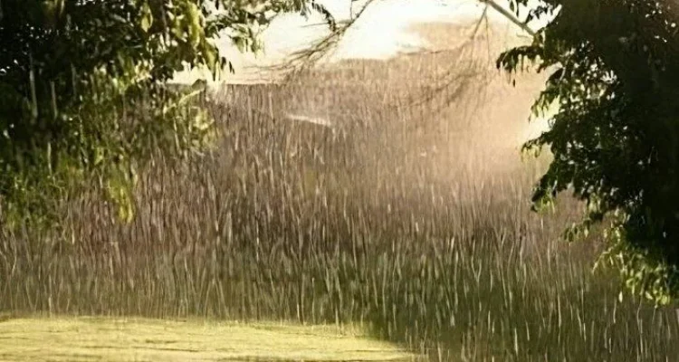 Prediksi Cuaca 28 April 2026: Panas Terik di Semarang, Hujan Lokal di Makassar & Sumbar – Waspadai Angin Kencang