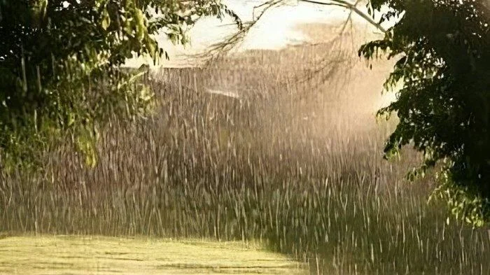 Prediksi Cuaca 28 April 2026: Panas Terik di Semarang, Hujan Lokal di Makassar & Sumbar – Waspadai Angin Kencang