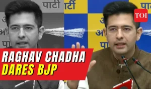 Raghav Chadha Tinggalkan AAP, Bergabung BJP: Kontroversi Poster Satir, Penurunan Pengikut, dan Reaksi Heboh di Media Sosial