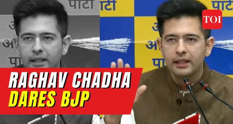 Raghav Chadha Tinggalkan AAP, Bergabung BJP: Kontroversi Poster Satir, Penurunan Pengikut, dan Reaksi Heboh di Media Sosial
