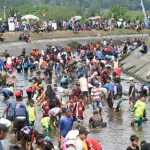 Ratusan Warga Turun ke Sungai Nyireh: Doli Hilang Diduga Disambar Buaya, Tim SAR Lakukan Pencarian Intensif