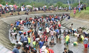 Ratusan Warga Turun ke Sungai Nyireh: Doli Hilang Diduga Disambar Buaya, Tim SAR Lakukan Pencarian Intensif