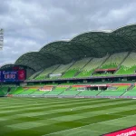 Seagull Invasion Menghentikan A-League: Drama di AAMI Park Membuat Sorotan Dunia
