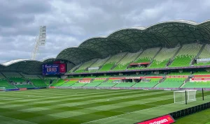 Seagull Invasion Menghentikan A-League: Drama di AAMI Park Membuat Sorotan Dunia