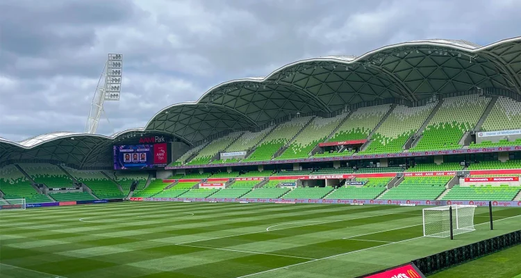 Seagull Invasion Menghentikan A-League: Drama di AAMI Park Membuat Sorotan Dunia