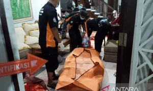 Tauke Karet Bengkalis Dibunuh Remaja 17 Tahun, Kasus Pecah di Desa Berancah