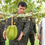 Terungkap! Strategi Durian Indonesia Buka Pasar China Raih Potensi Rp137 Triliun