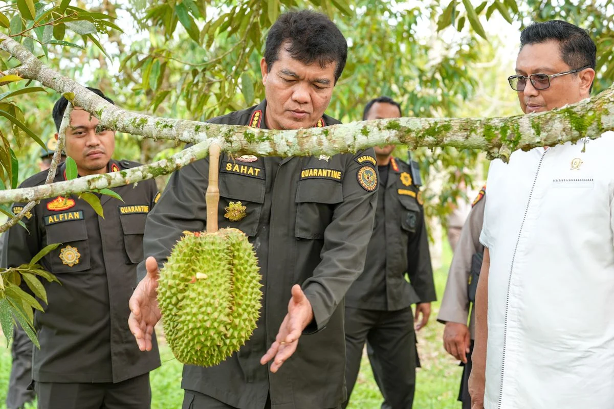 Terungkap! Strategi Durian Indonesia Buka Pasar China Raih Potensi Rp137 Triliun