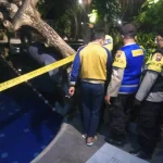 Tragedi Kolam Renang: Perjuangan Enzo, Balita 4 Tahun yang Menghadapi Tonic Seizures Pasca Kecelakaan