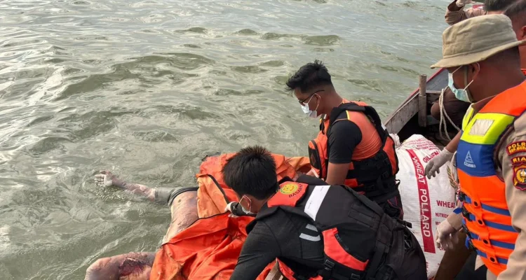 Tragedi Man Overboard di Carnival Splendor: Pencarian Intensif, Dua Korban Tewas, dan Penundaan Kedatangan ke Sydney