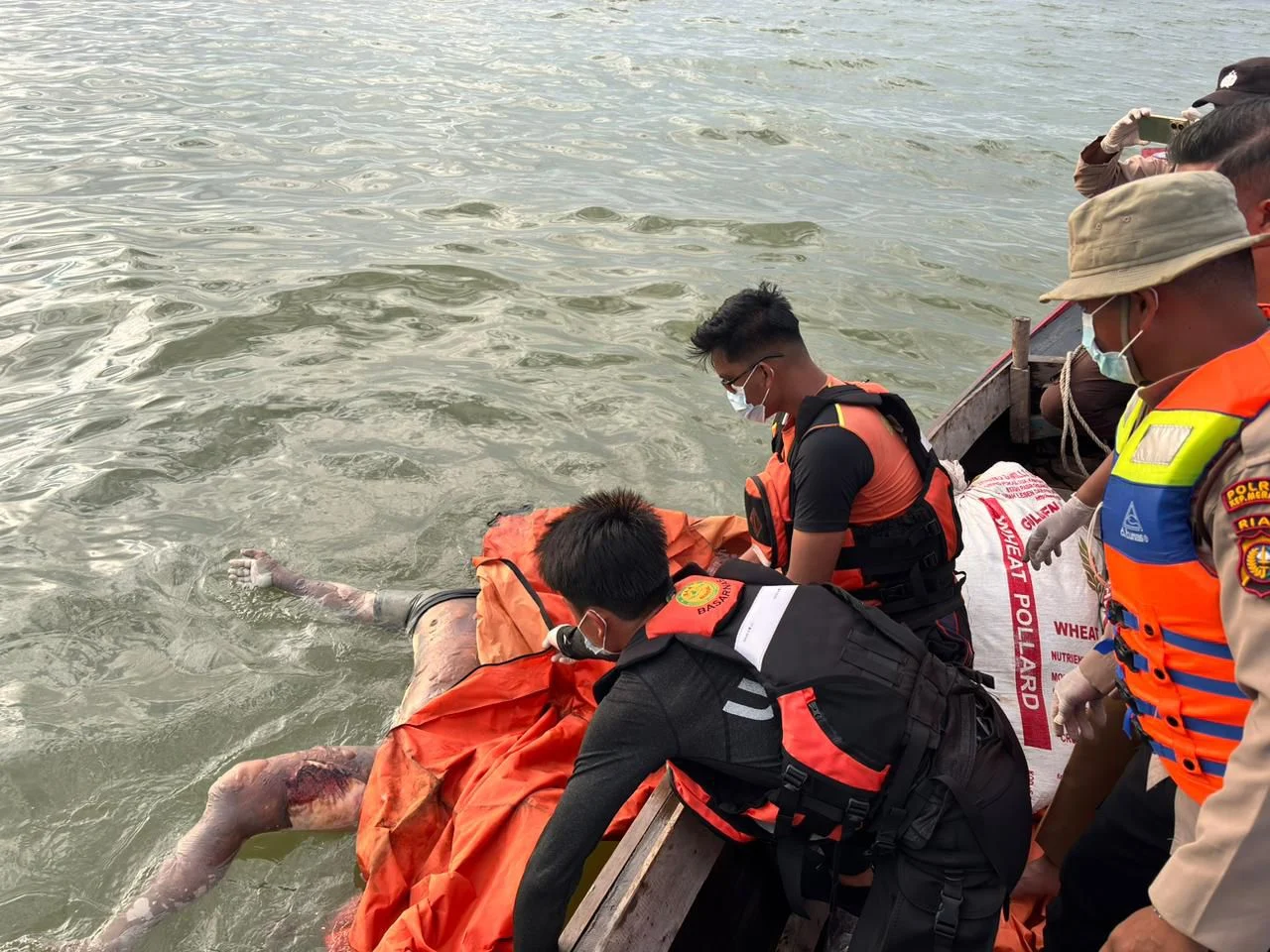 Tragedi Man Overboard di Carnival Splendor: Pencarian Intensif, Dua Korban Tewas, dan Penundaan Kedatangan ke Sydney