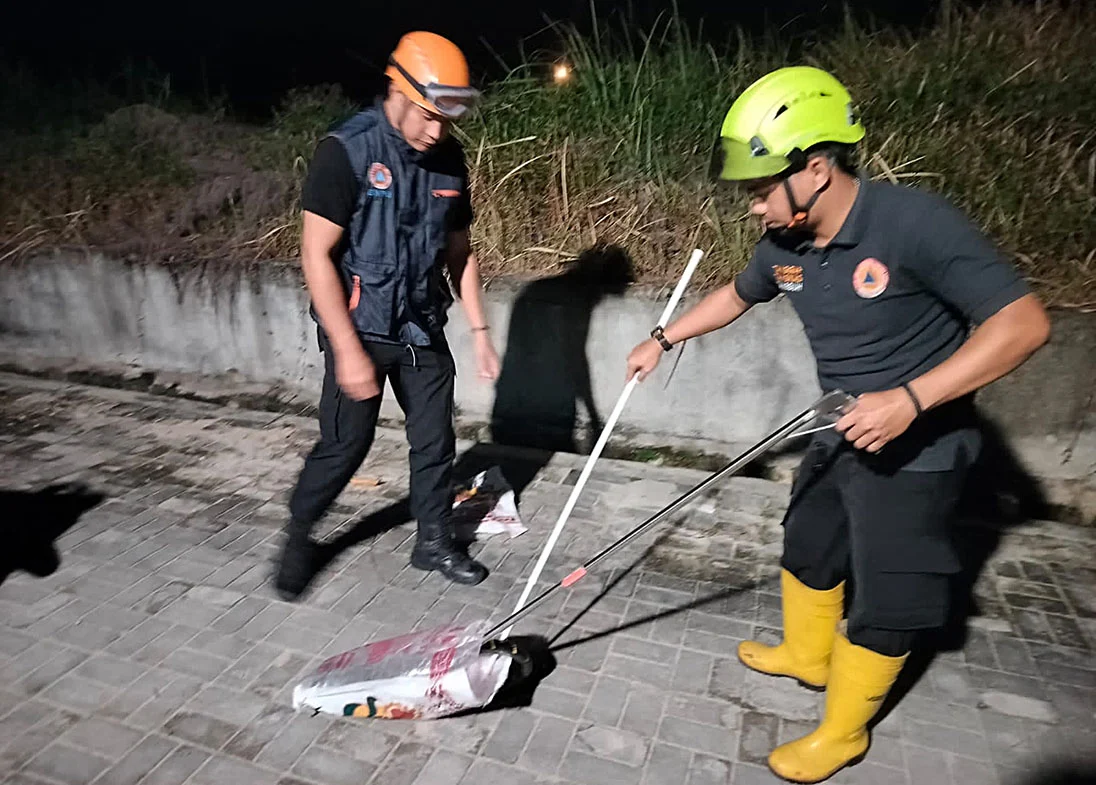 Trenggiling Masuk Rumah Warga di Pekanbaru, Damkar Bergerak Cepat Lakukan Evakuasi Darurat