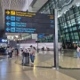 Banten Perketat Pengawasan di Soetta untuk Cegah Hantavirus