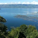 Danau Toba: Potensi Ikan Patin dan Antisipasi Kemarau