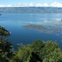 Danau Toba: Potensi Ikan Patin dan Antisipasi Kemarau