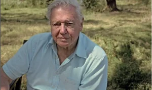 David Attenborough Rayakan Ulang Tahun ke-100: Mengenal Legenda Dokumenter Alam
