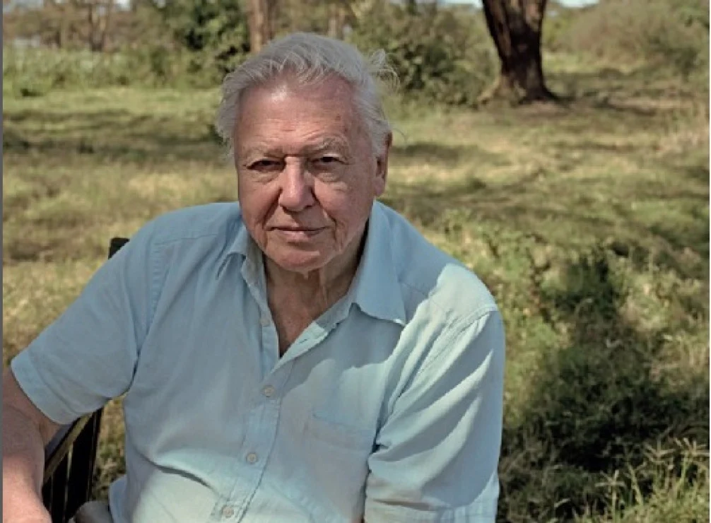 David Attenborough Rayakan Ulang Tahun ke-100: Mengenal Legenda Dokumenter Alam