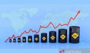 Dollar Menguat, Harga Oli Melonjak: Apa yang Terjadi di Balik Kenaikan Harga?