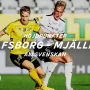 Elfsborg vs Mjällby: Pertarungan Sengit di Liga Swedia