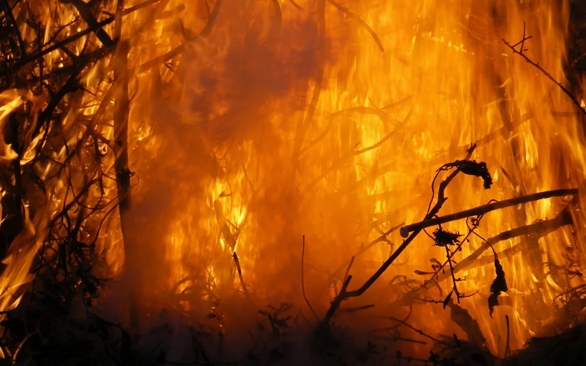 Eropa "Terbakar" Rekor Panas: Era Fosil Mulai Retak, Apa Dampaknya?