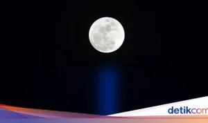 Fenomena Blue Moon 2026: Mengapa Ini Menarik Perhatian Banyak Orang?