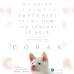 Film Gohan: Kisah Mengharukan Anjing Liar yang Mengubah Hidup Banyak Orang
