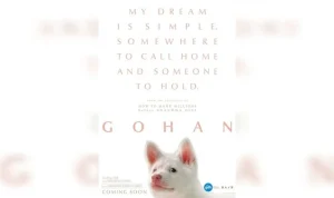 Film Gohan: Kisah Mengharukan Anjing Liar yang Mengubah Hidup Banyak Orang