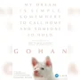 Film Gohan: Kisah Mengharukan Anjing Liar yang Mengubah Hidup Banyak Orang