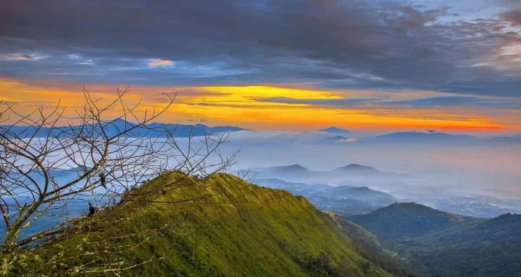 Gunung Puntang: Wisata Alam yang Memanjakan