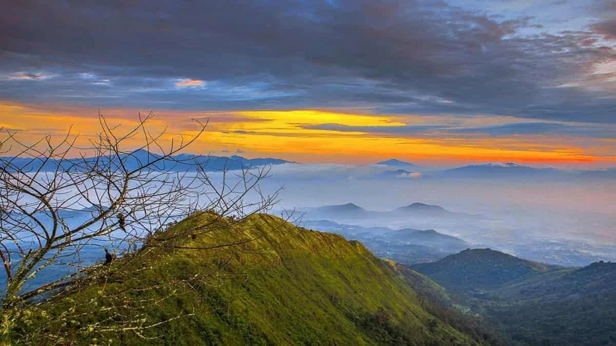 Gunung Puntang: Wisata Alam yang Memanjakan